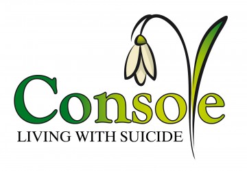 Console Logo