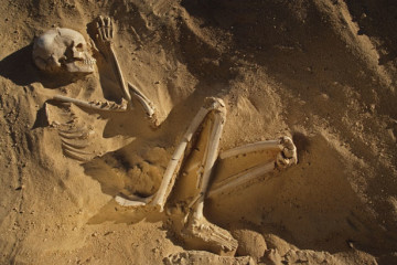 skeleton-woman-615