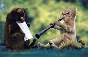 Cat-Plying-Clarinet-Funny-Musicians-Picture