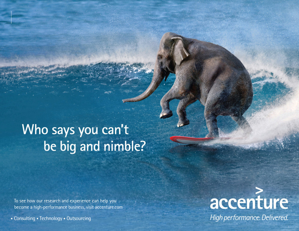 accenture-surfing-elephant – Channel EYE